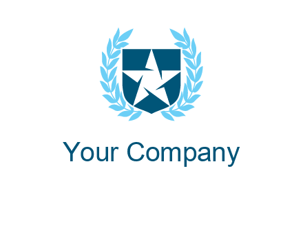 star in shield logo