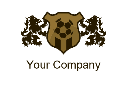 football team logo