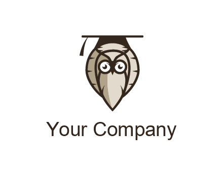 owl wearing scholar hat